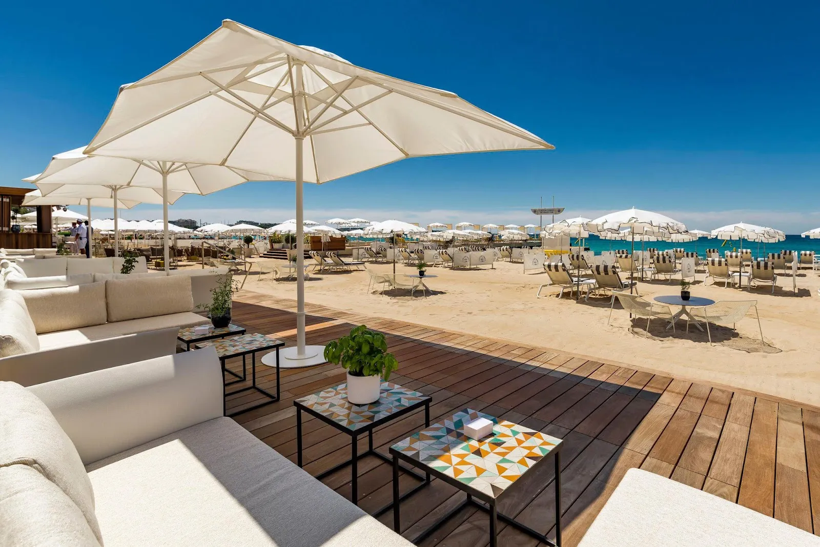Carlton Cannes