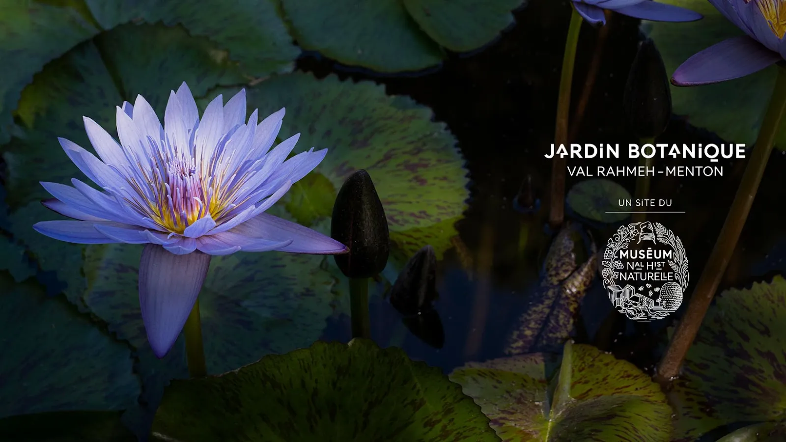 Jardin du Val Rahmeh