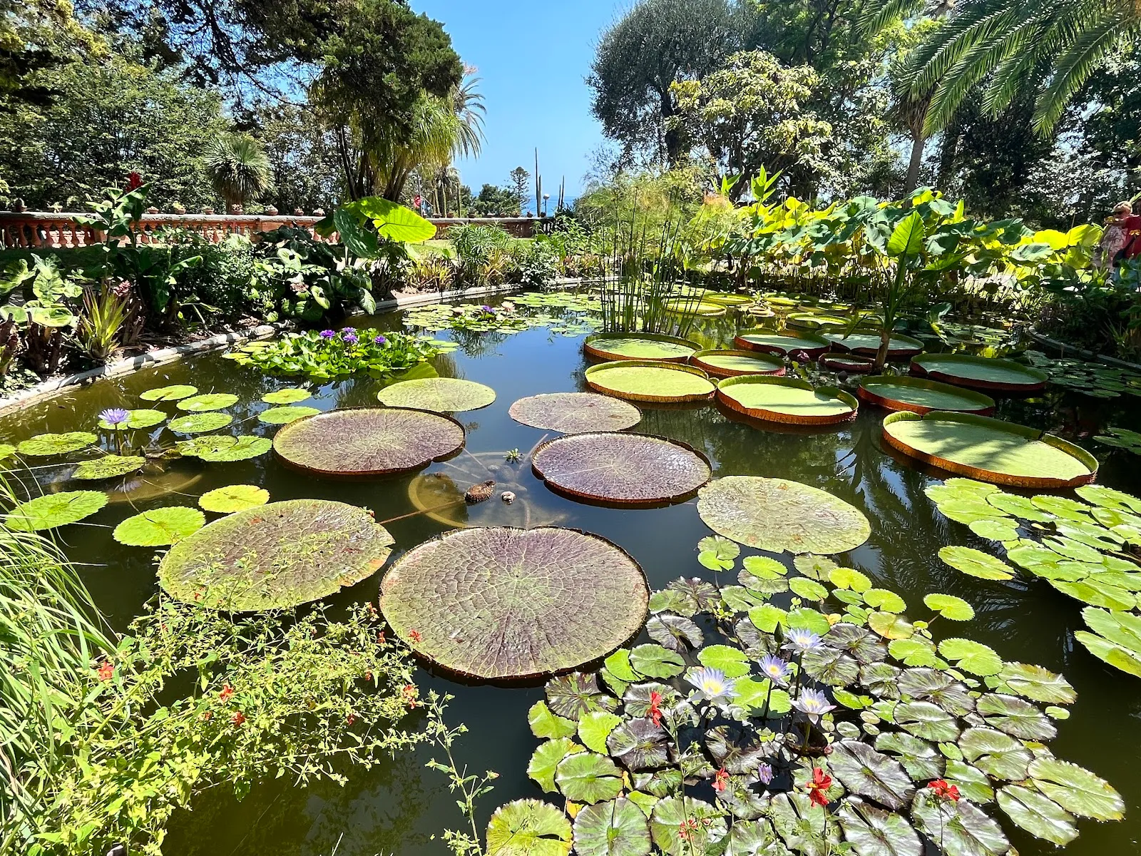 Jardin du Val Rahmeh 2