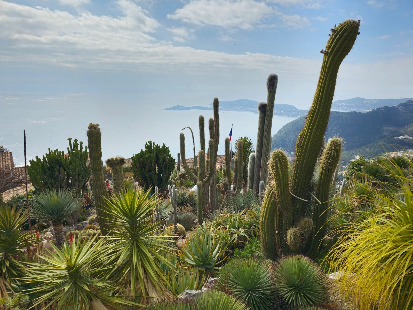 Jardin Exotique d'Èze 3